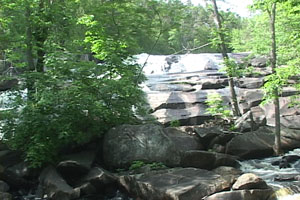 Sue Falls